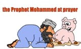 2840318 - Islam Muhammad Pig religion