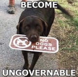 UngovernableDoggo