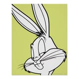 Bugs