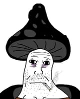 1748898302910099