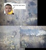 1736170656007231