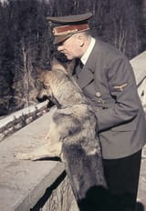 hitler49