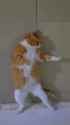 kot_fu_fighter__thumb.jpg