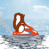 surfing