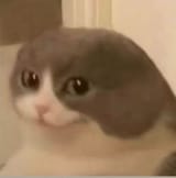 1750313786454953