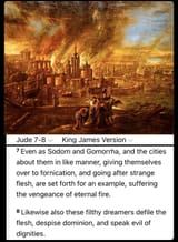 IMG_9769.PNG