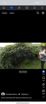 Screenshot_20250620-210433