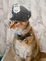 policecat