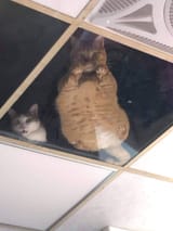 1750276152018052