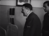 Comfy Hitler (4)
