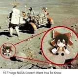 1714282619318153