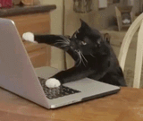 catype