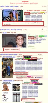 bros response ameribros