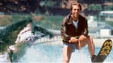 Jumping The Shark