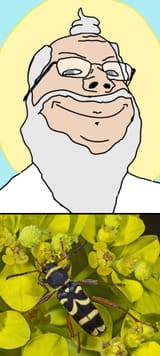 1711347874994