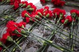красные-гвоздики-лежат-в-честь-погибших-солдат-на-мемориале-мрамора-173328706