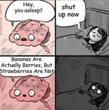 1739000254081420