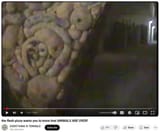 everything_is_terrible_flesh_pizza