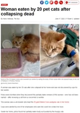 котэ