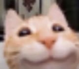 1749414718301892