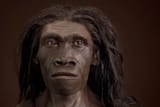 erectus_JC_Recon_Head_CC_f_l.jpg