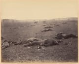 Timothy_H._O&#039;Sullivan_(American_-_A_Harvest_of_Death_-_Google_Art_Project