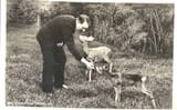 Hitler feeding baby deer