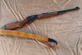 Marlin .45-70
