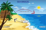 sea-breeze-blows-from-sea-to-land-during-the-day-vector-2905865179