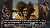 Nigger Archaich 19%