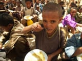 HungerReport-1357494277