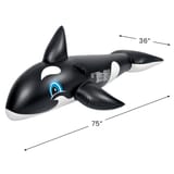pool central jl 37213-sizing__31772
