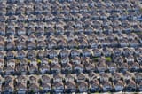 amerimutt suburbia