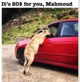 1736500462924