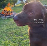 1702472765115417