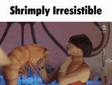 shrimple-simple