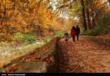 golestan-iran-autumn-nature-photo-credit-mostafa-hassanzadeh-tasnim-2