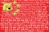 anti chinese communist party flag