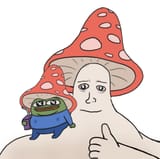 1723565329792116
