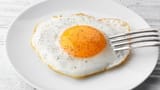 egg