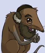 Average Jew