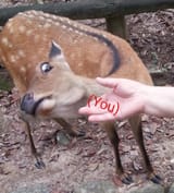 1501269484196