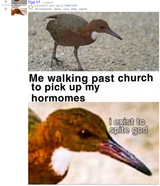 things that never happened