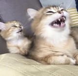 1735549344012