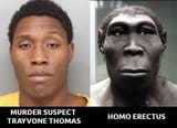 erectus murderer