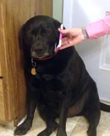 1603558577069