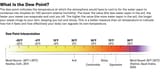 JUST DEWPOINT