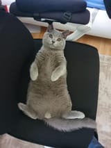 don&#039;t look at the balls