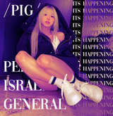 pig29
