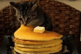 kotcake